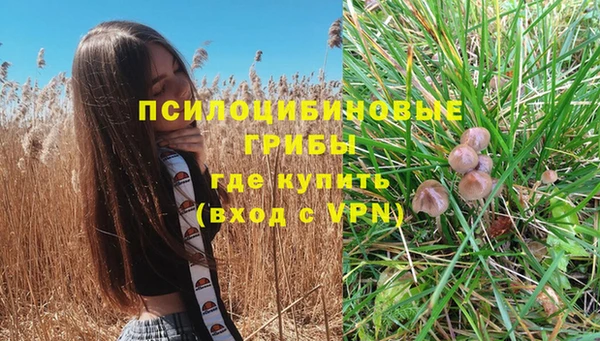 скорость Зеленокумск